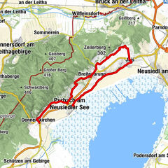 Purbach am Neusiedler See, Burgenland/Österreich