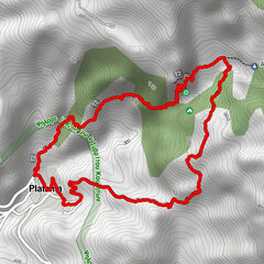 Platania, Region Kreta/Griechenland