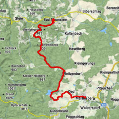 Bad Traunstein, Niederösterreich/Österreich
