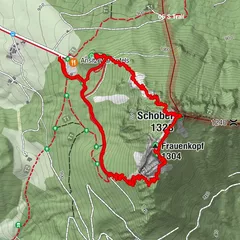 Schober, Frauenkopf