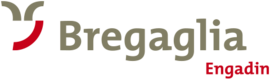 Logo Vicosoprano
