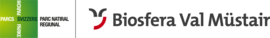 Logo Lü - Lüsai