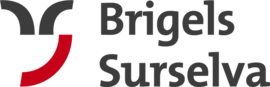 Logo Breil / Brigels