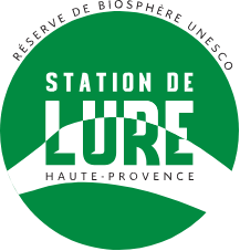 Logo Saint-Étienne-les Orgues