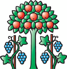 Logo Magden