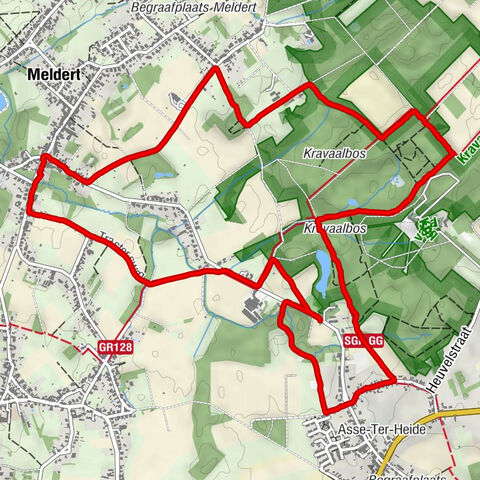 Aalst, Vlaanderen/België / Belgique / Belgien