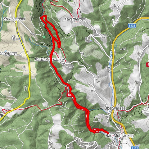 Feldkirchen an der Donau, Oberösterreich/Österreich