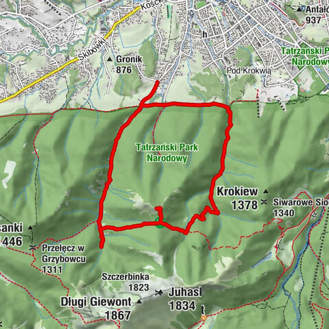 Zakopane, województwo małopolskie/Polska