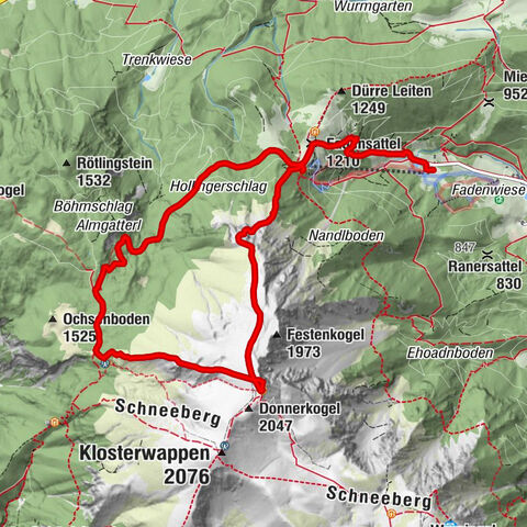 Schneeberg ab Edelweisshütte