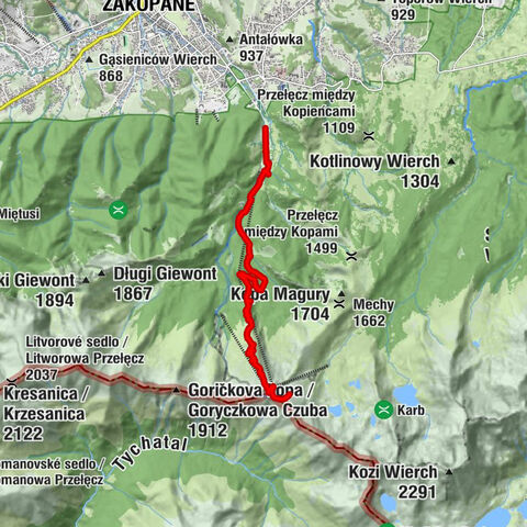 Zakopane, województwo małopolskie/Polska
