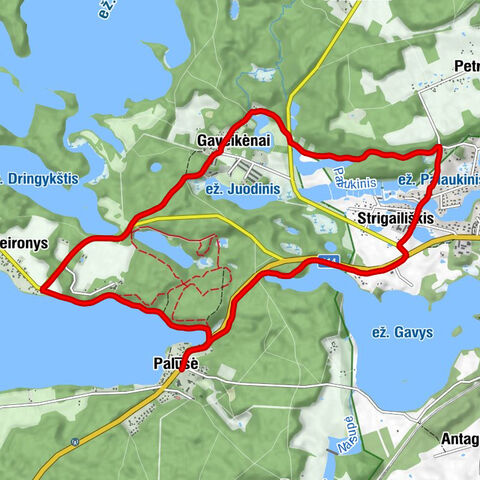 Palūšė, Ignalinos rajono savivaldybė/Lithuania