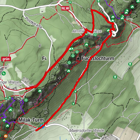 Hohe Wand, Niederösterreich/Österreich