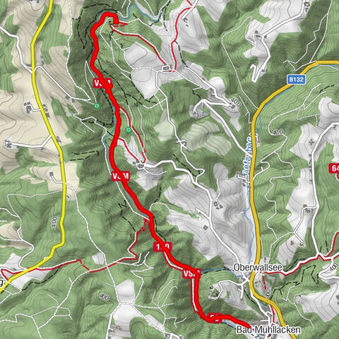 Feldkirchen an der Donau, Oberösterreich/Österreich