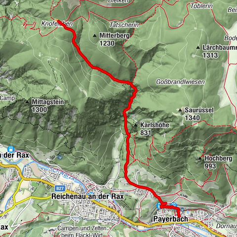 Payerbach, Niederösterreich/Österreich