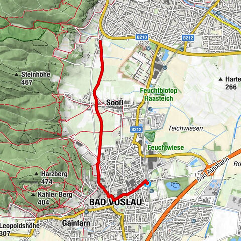 Bad Vöslau, Niederösterreich/Österreich