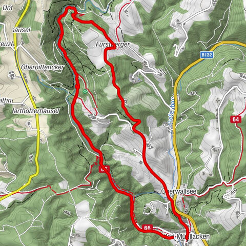 Feldkirchen an der Donau, Oberösterreich/Österreich