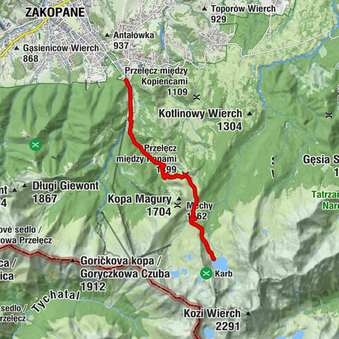 Zakopane, województwo małopolskie/Polska