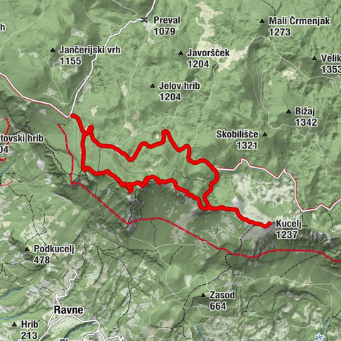 Nuova Gorizia, Slovenia