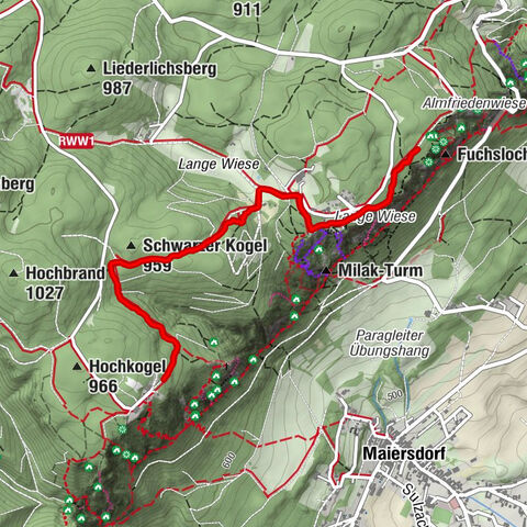 Hohe Wand, Niederösterreich/Österreich