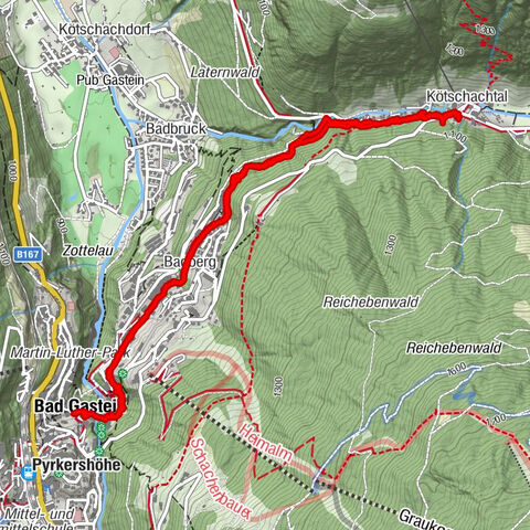 Bad Gastein, Grüne Baum