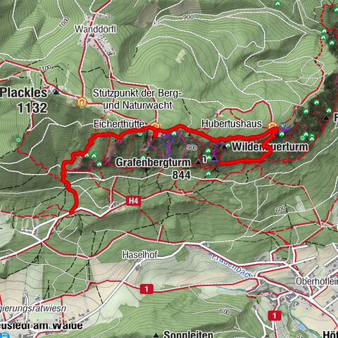 Höflein an der Hohen Wand, Niederösterreich/Österreich