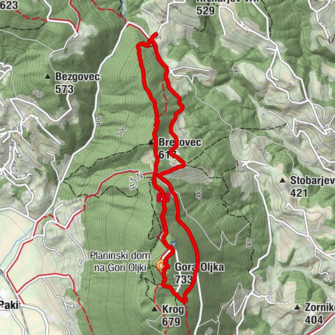 Šmartno ob Paki, Slovenia