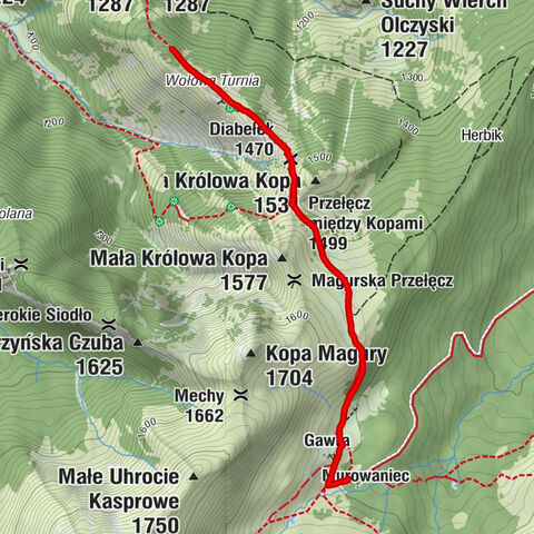 Zakopane Narciarstwo przełajowe