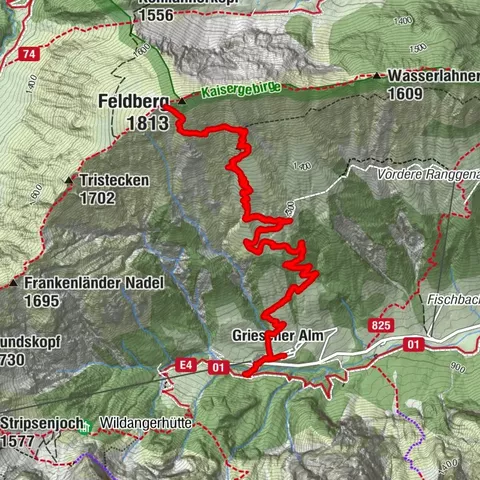 Kirchdorf in Tirol, Tirol/Österreich
