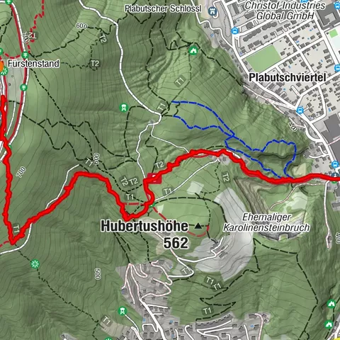 Graz, Plabutsch(Abstieg) mit Schatzi