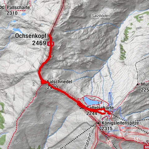 Wald im Pinzgau, Salzburg/Österreich