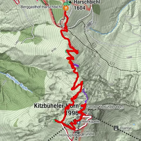 Sankt Johann in Tirol, Tirol/Österreich