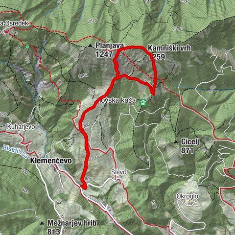 Kamnik Pešačenje
