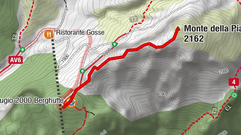 23 MONTE DELLA PIANA über den westlichen Kamm - Sappada