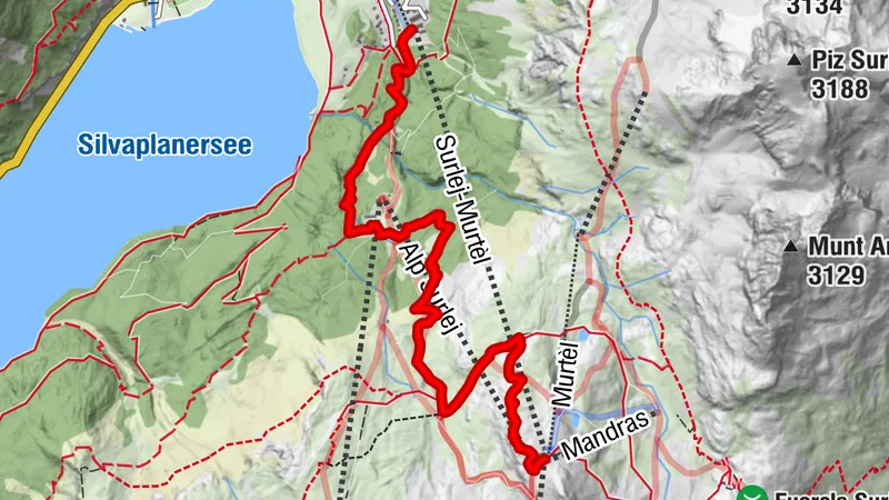 Mittelstation Murtèl – Alpetta – Talstation Corvatsch, Surlej