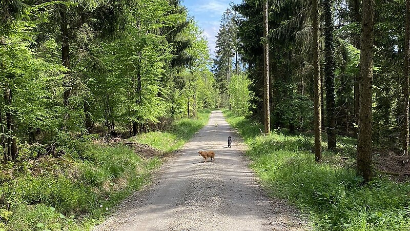 Karte