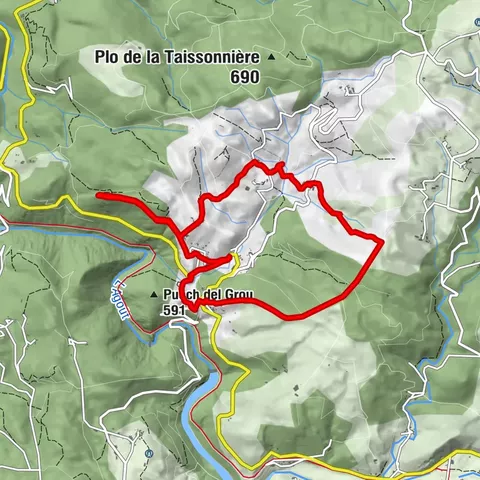 Der Geigenbauer