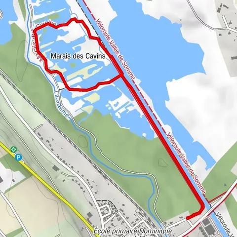 Spaziergang im Moor der Cavins