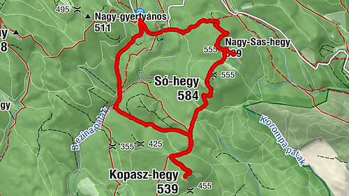 Sas-hegy, Kopaszhegy