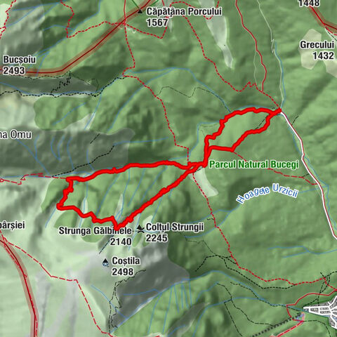 Valea malinului