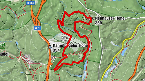 Urwald-Tour
