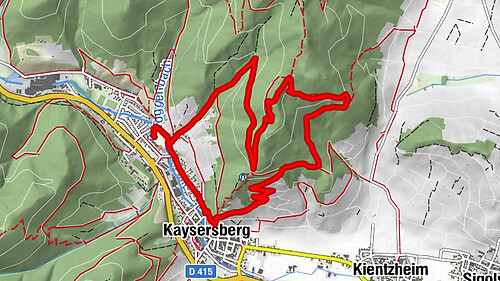Wandelen boven Kaysersberg. Vogezen.