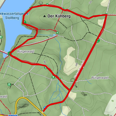 Naturlehrpfad im Bürgerwald