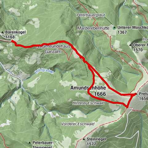 Bärenkogel über die Ganz-Alm zum Roseggerhaus