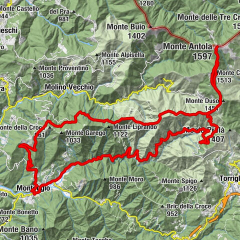 Monte Antola - Costa Gallina (Montoggio)