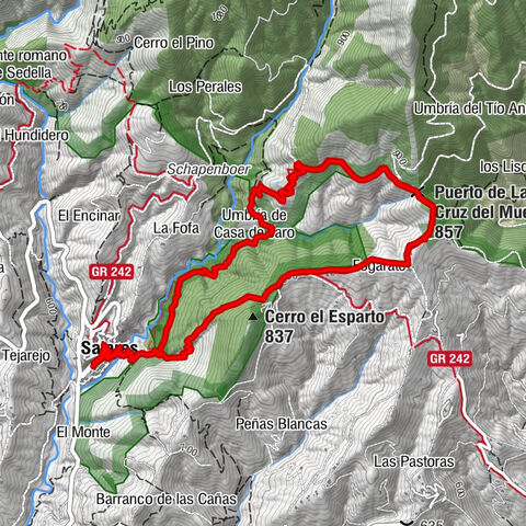 Salares Ruta del Monte
