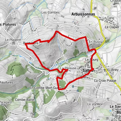 Das Priorat Saint-Martin von Salles - Beaujolais - Salles-Arbuissonnas