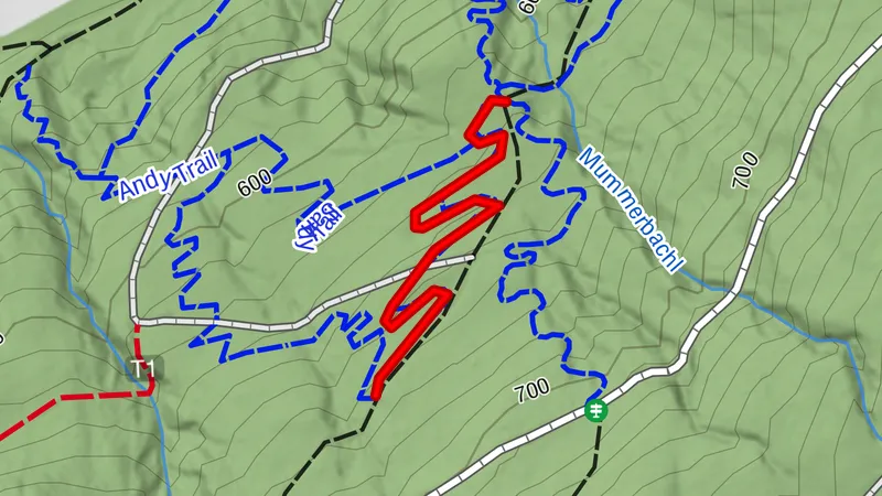 Van Duren Trail - T71