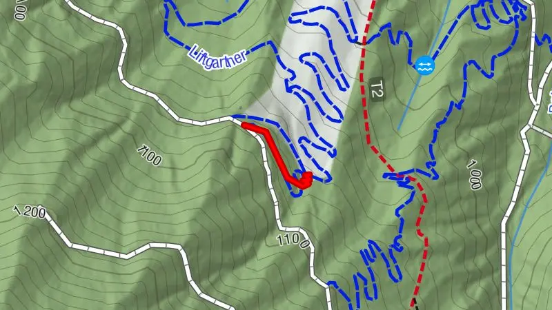 Linkgartner Trail - T47