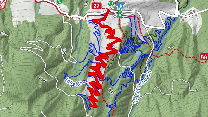 Flowgartner Trail - T25