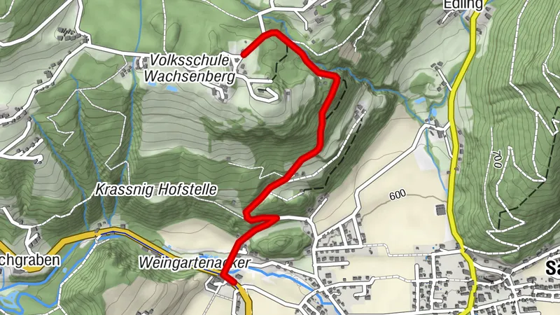Shared Trail Wachsenberg Tauschweg | nock/bike Trail T58